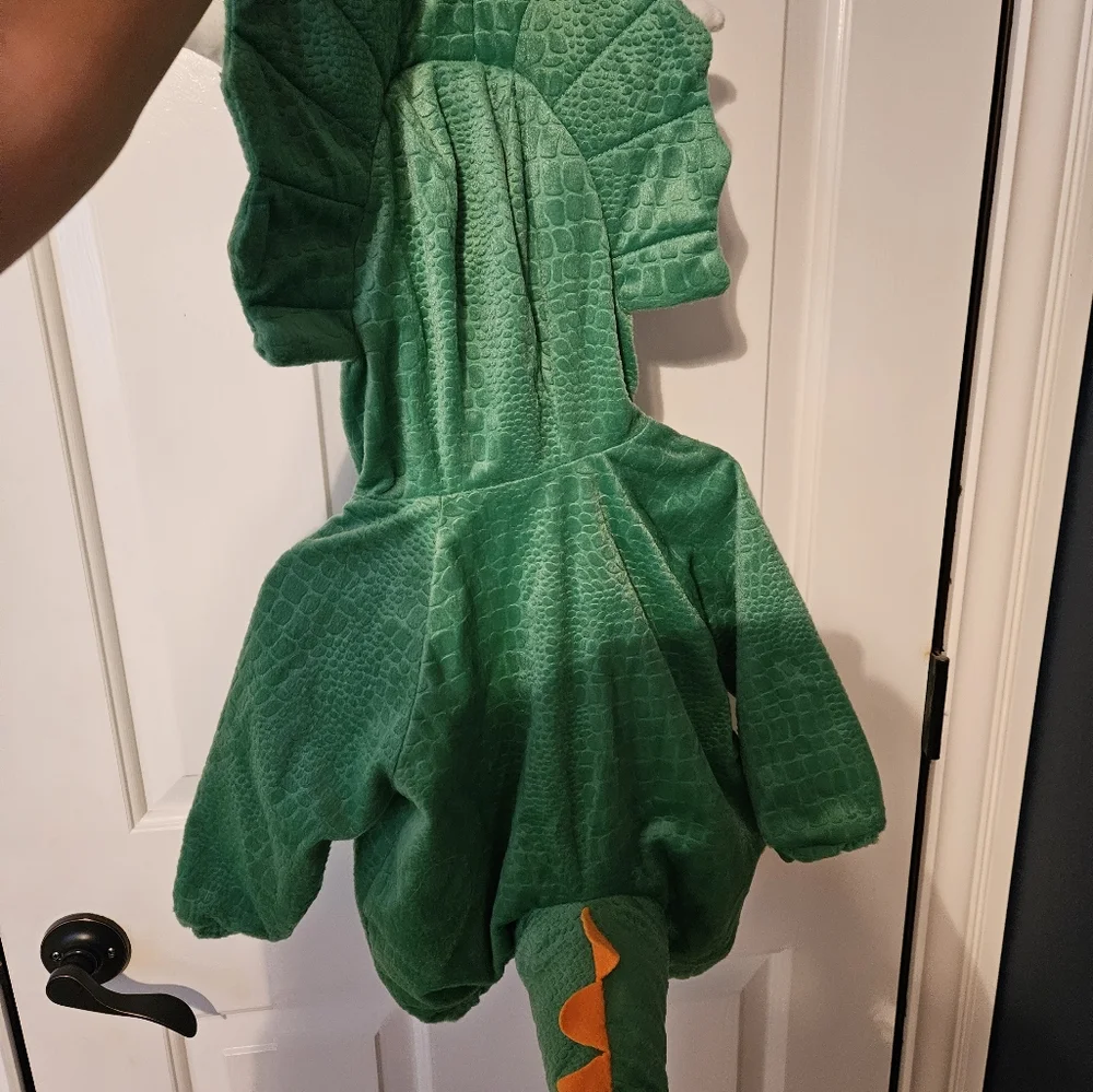 Dinosaur costume - Picture 4 of 5